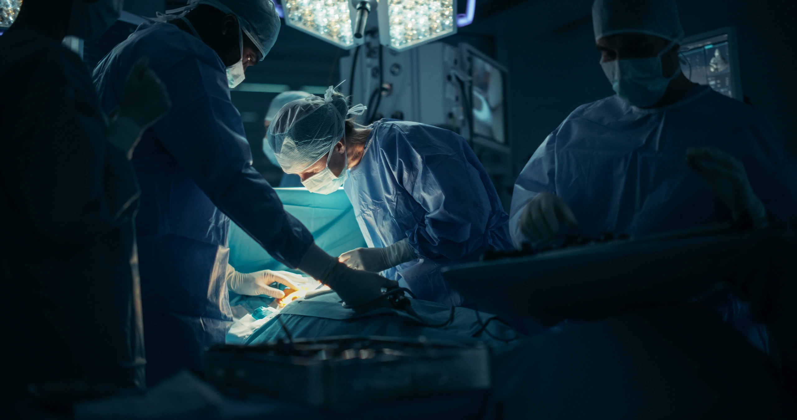 shutterstock 2556791443